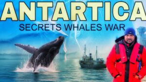 Antarctica’s Secrets: Whales War