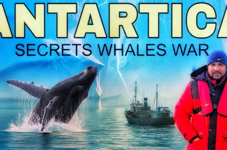 Antarctica’s Secrets: Whales War || Great Survival Story || Pole To Pole Ep.6